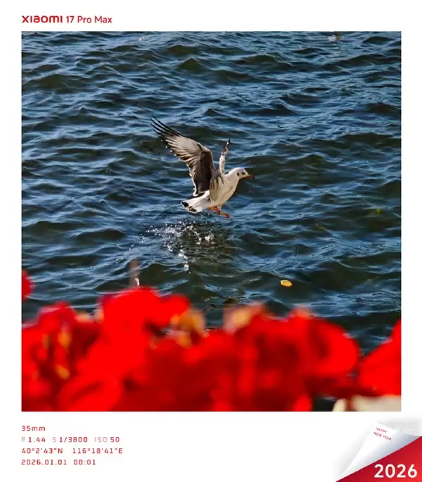 小米澎湃OS 3三款元旦限定水印来了！水墨画风格 清新淡雅