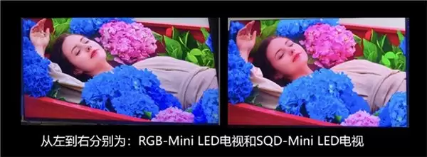 高端电视闭眼入指南：认准海信 RGB-Mini LED 电视，跨代革新技术值得买单！