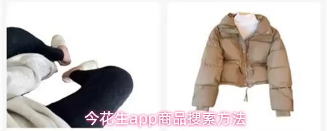 今花生app商品搜索方法