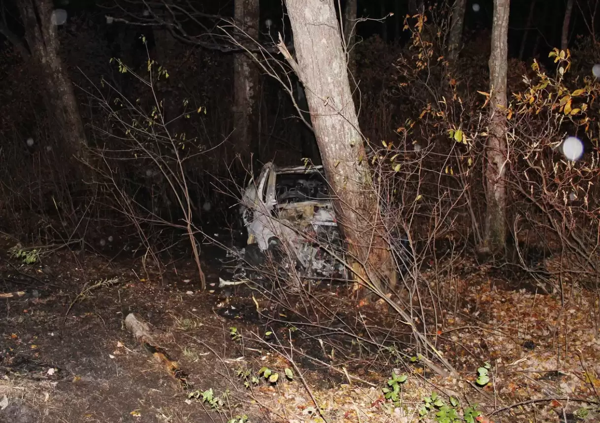 彭博:特斯拉车门打不开已在美国造成至少15人身亡