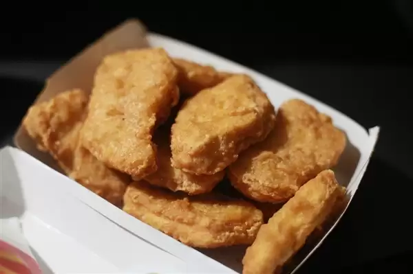 宠物狗上桌啃生肉:烤肉店停业3天