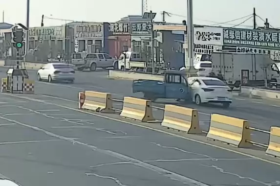 两只狗“合伙作案”开走主人三轮车：撞上一辆轿车