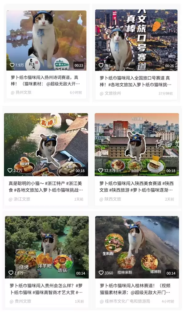 “萝卜纸巾猫”爆火 多地文旅加入