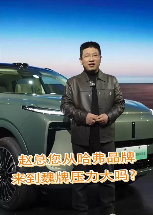 九年八换CEO 赵永坡回应接任魏牌CEO:不管在哪 干就完了