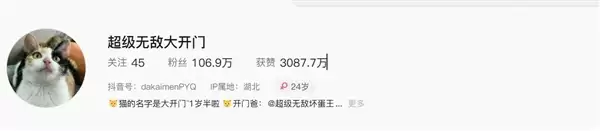 “萝卜纸巾猫”爆火 多地文旅加入