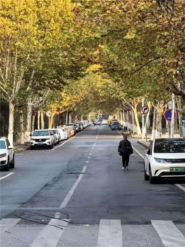 在南方穿衣比北方难多了！好在 TA 总能提前“剧透”天气