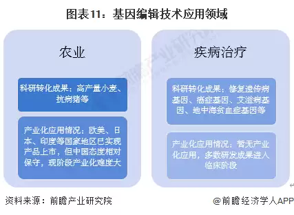 图11：基因编辑技术应用领域