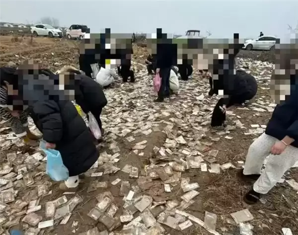 空地处现大量全新手机壳:全新未拆封 有人一次捡50个