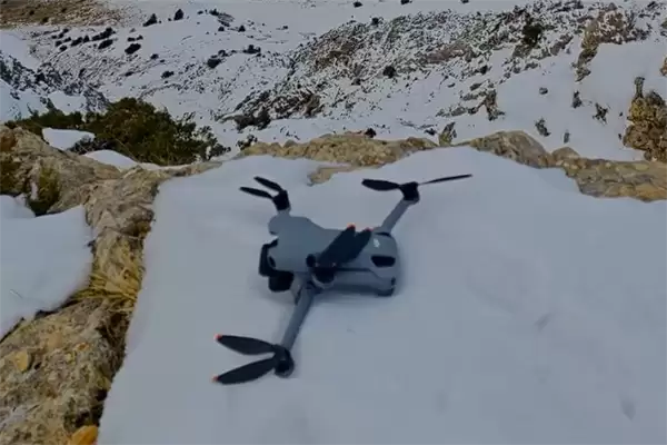 老鹰空中抓走大疆无人机 带上山顶“玩自拍”
