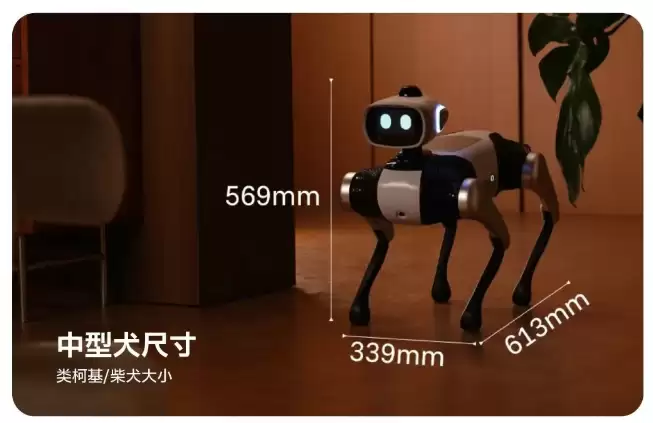 全球首款无需遥控的智能机器狗，维他动力“大头BoBo”将开启公测