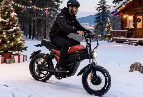 Freeskycycle Cheetah电动车型上市,2200美元打造高性价比轻型电摩