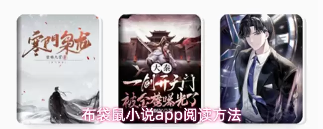 布袋鼠小说app阅读方法