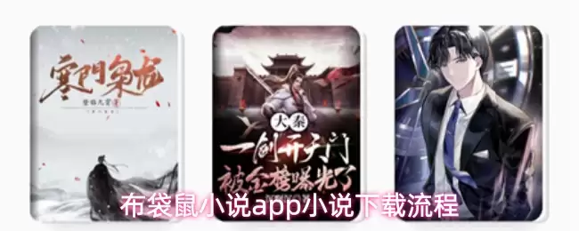 布袋鼠小说app小说下载流程
