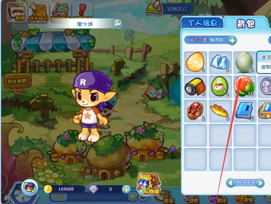 洛克王国遗落的蛋在哪里拾取2026