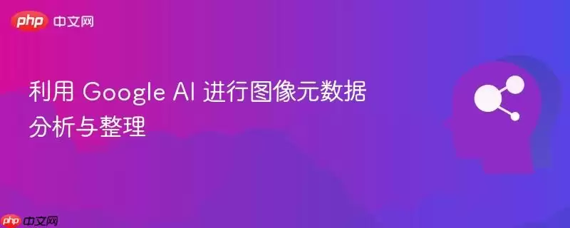 利用 Google AI 进行图像元数据分析与整理