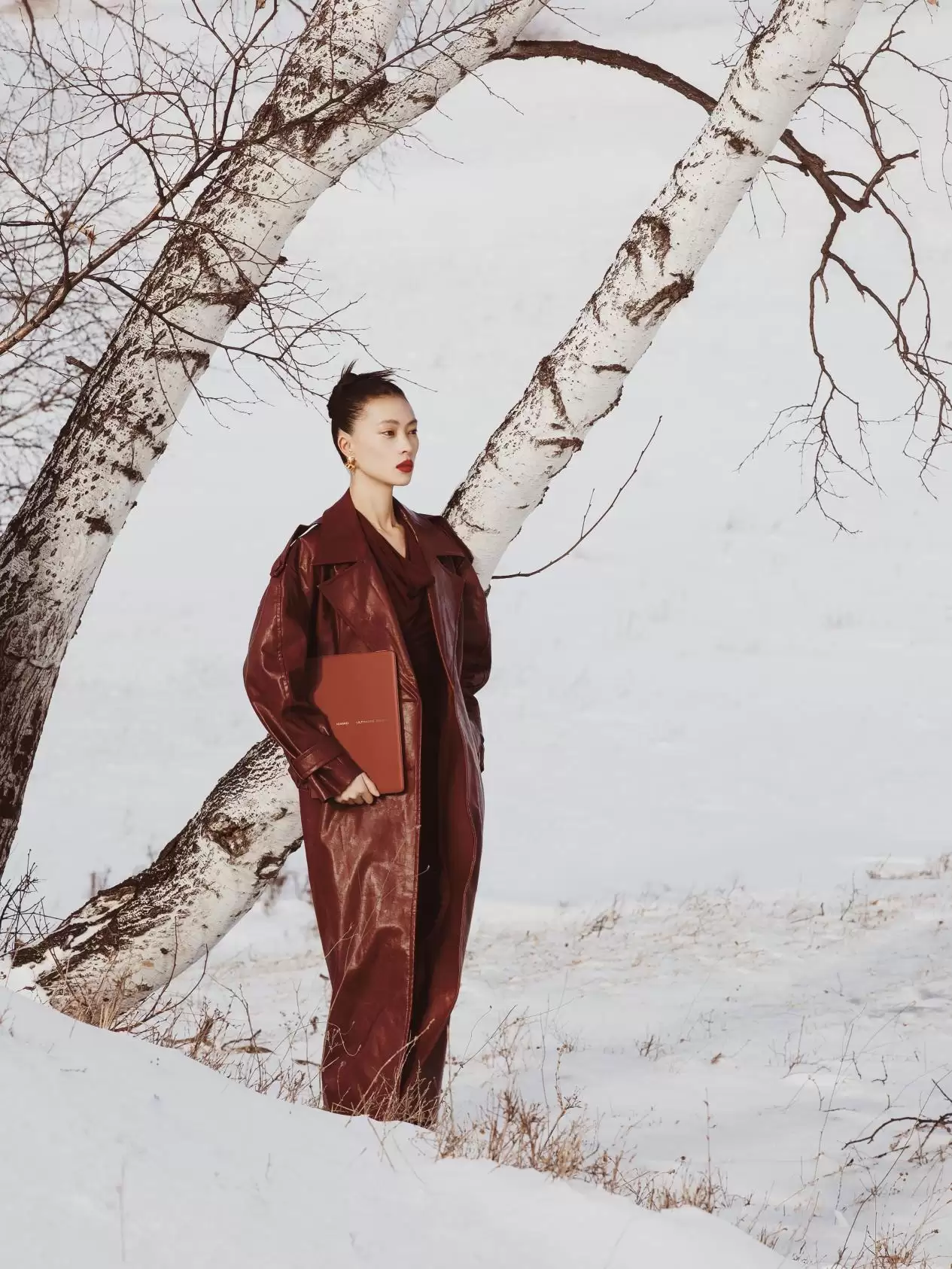 瑞红映雪，科技成诗：华为MateBook Fold非凡大师年末美学与实力双绝