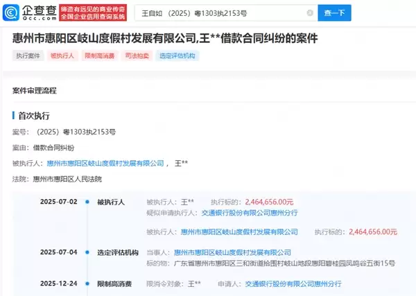 246万元案款未履行 王自如再被限制高消费