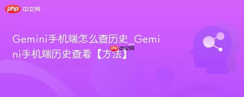 Gemini手机端怎么查历史_Gemini手机端历史查看【方法】