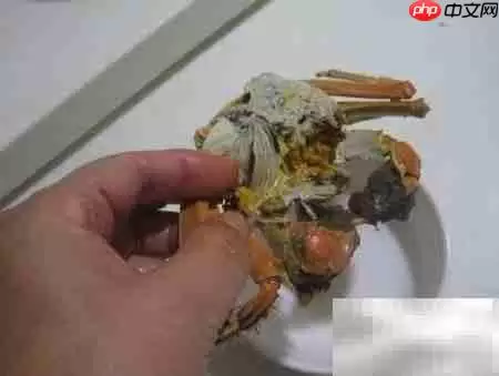 老年人吃河蟹注意事项
