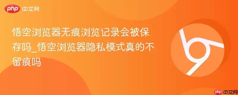 悟空浏览器无痕浏览记录会被保存吗_悟空浏览器隐私模式真的不留痕吗