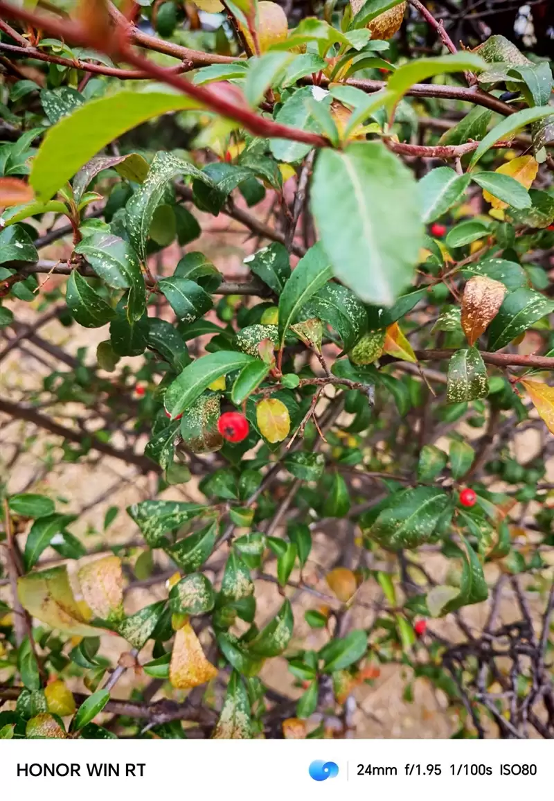 半年内没有对手！荣耀WIN RT评测：2699元首发1万mAh大电池 这才是性价比电竞机！