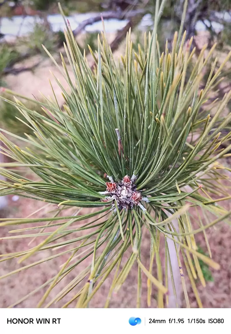 半年内没有对手！荣耀WIN RT评测：2699元首发1万mAh大电池 这才是性价比电竞机！