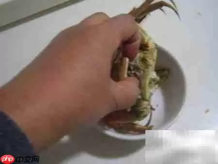 老年人吃河蟹注意事项