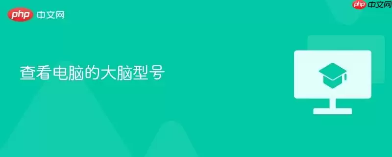 查看电脑的大脑型号