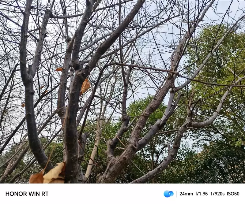 半年内没有对手！荣耀WIN RT评测：2699元首发1万mAh大电池 这才是性价比电竞机！