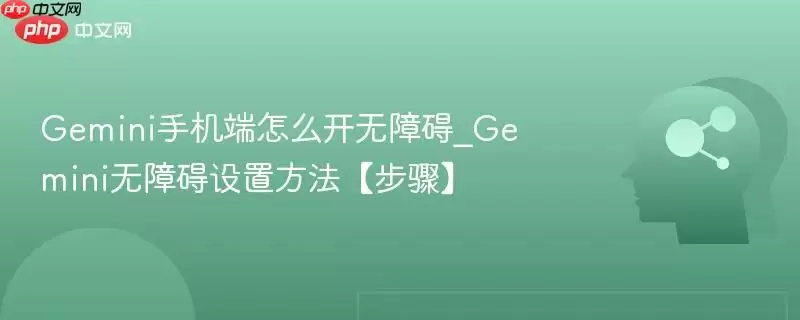 Gemini手机端怎么开无障碍_Gemini无障碍设置方法【步骤】