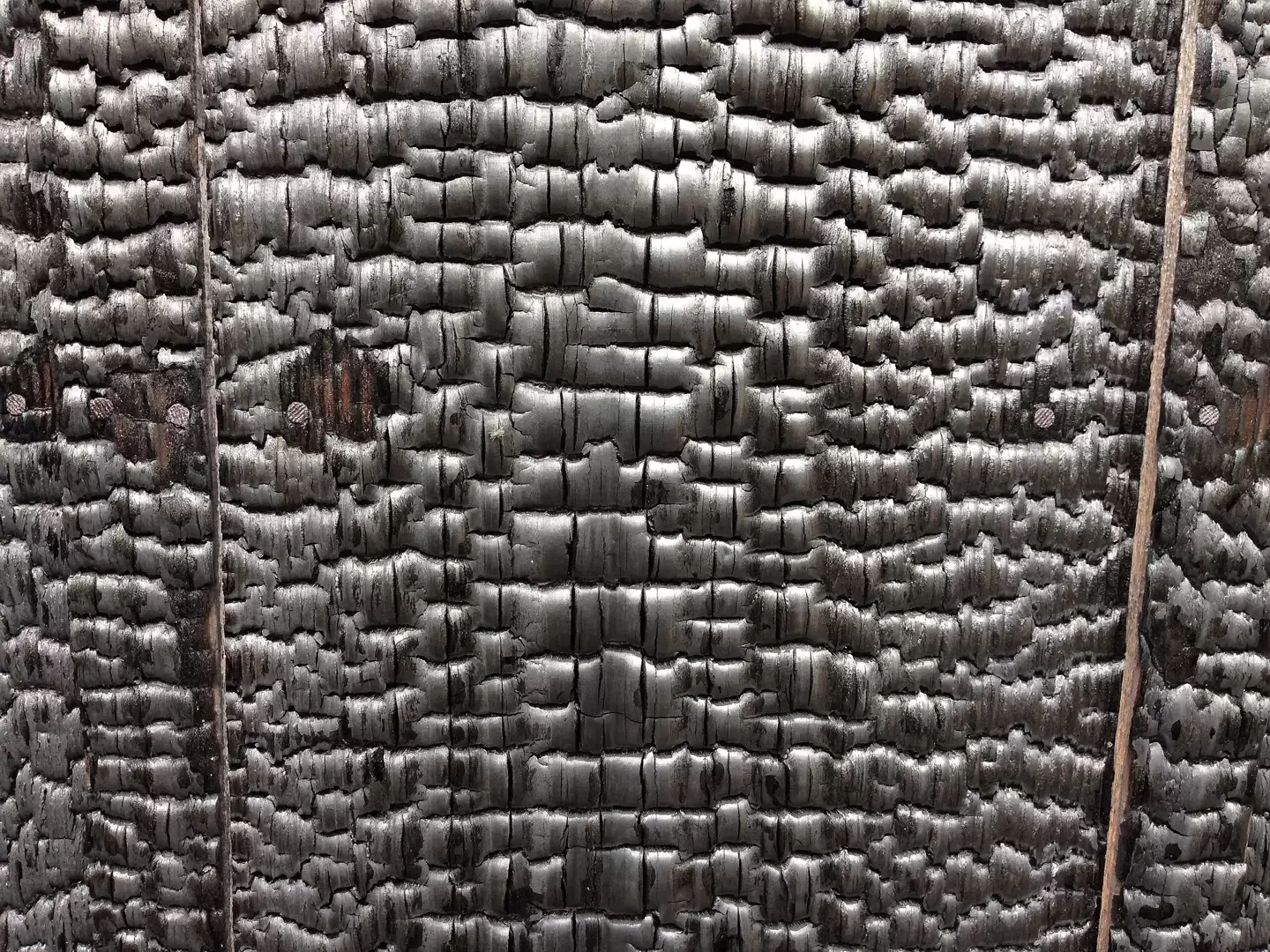 达·芬奇手稿解密：领先日本100多年发现“烧杉板”工艺