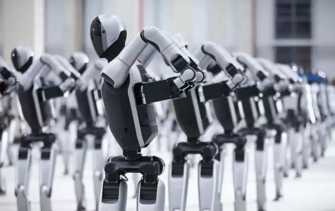 具身智能@2025：“人机共生”前夜