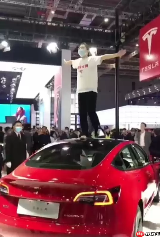 特斯拉“车顶维权”女车主回应被限制高消费：名誉权案件已向法院申请再审