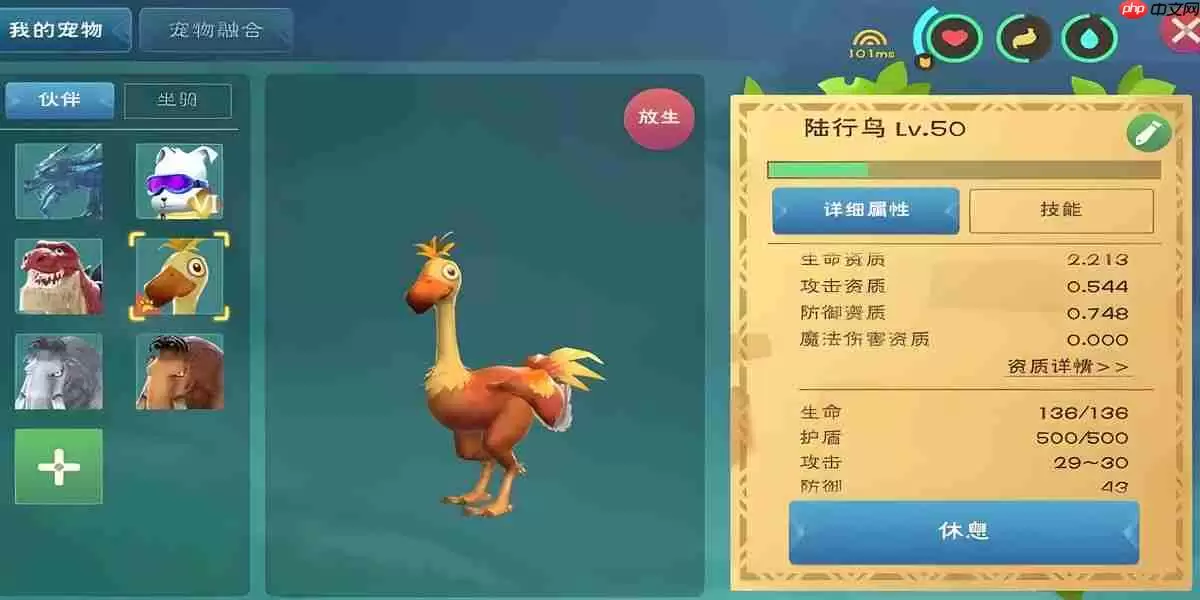 轻松驯服陆行鸟新手友好攻略