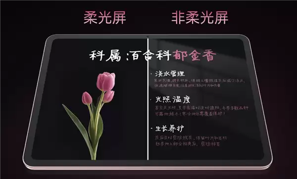 国补价1709.1元起!OPPO Pad Air5首销:支持插SIM卡