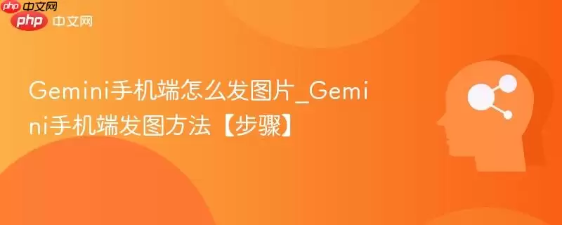 Gemini手机端怎么发图片_Gemini手机端发图方法【步骤】