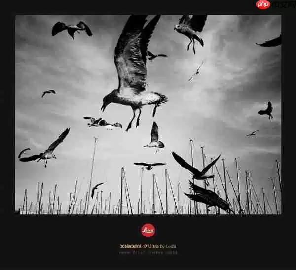 不是简单滤镜！小米揭秘徕卡一瞬如何实现：端侧模型+胶片建模