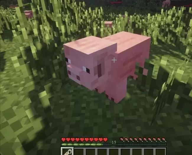 我的世界如何让生物倒立2026