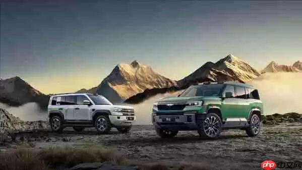 方盒子车型该买哪款？先看看这份11月国内销量榜单