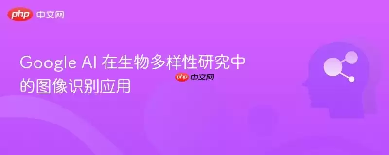 Google AI 在生物多样性研究中的图像识别应用