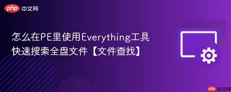 如何在PE环境里使用Everything工具快速搜索全盘文件【文件查找】