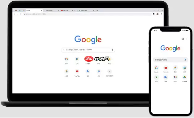 Google浏览器占用内存太高怎么办 Google浏览器标签页管理优化技巧【技巧】