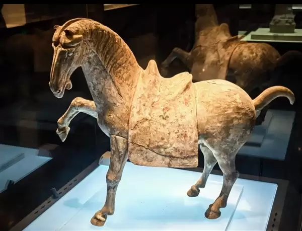 洛阳博物馆回应唐代陶马倒下断裂：原始修复部位粘接剂老化 已送修