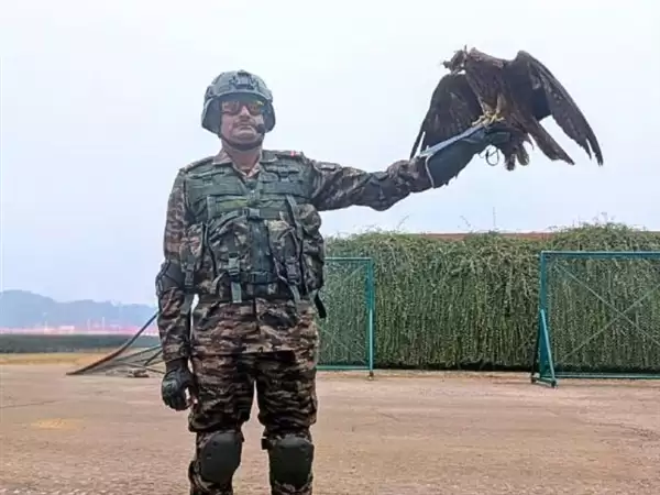 再创先河!印度阅兵将首次派出军用动物方队:有骆驼、马还有鸟