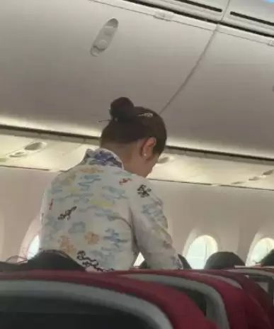 空姐统一戴长发簪遭质疑不安全 海南航空回应