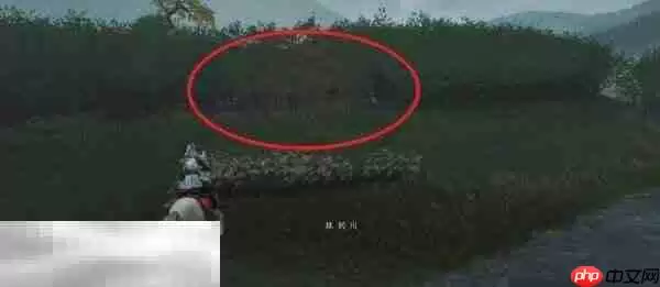 羊驼山之魂竹林祭坛在哪里 羊驼山之魂竹林祭坛位置详情