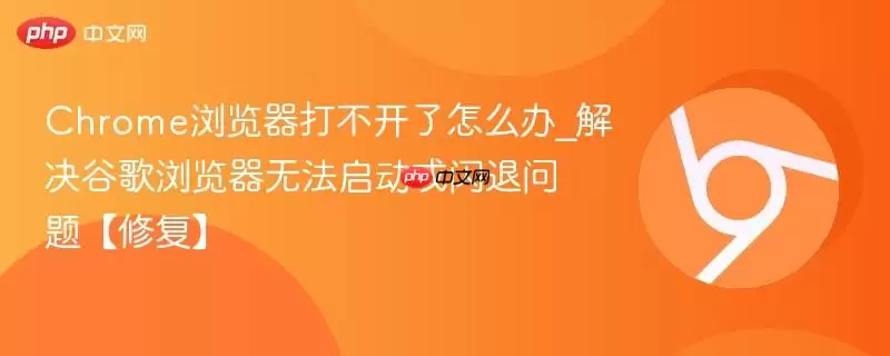 Chrome浏览器打不开怎么办_解决谷歌浏览器无法启动或闪退问题【修复】