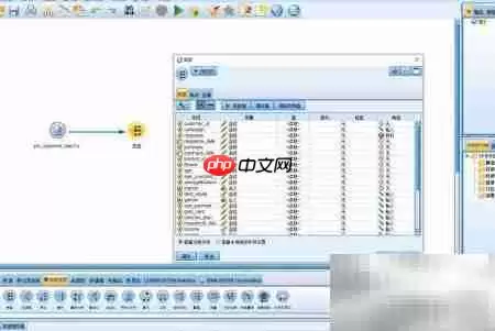 SPSS自动分类建模解析
