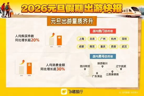 元旦假期“请3休8”拼假火了!飞猪:元旦当天国内酒店预订量暴增280%