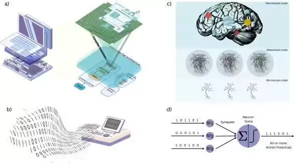 意识不只是算法？科学家重新定义大脑如何“计算”，AI仅为数字模拟仍无法复现其本质